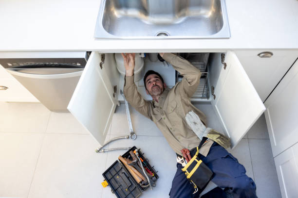 Best Affordable Plumbing Services  in Lanse, MI