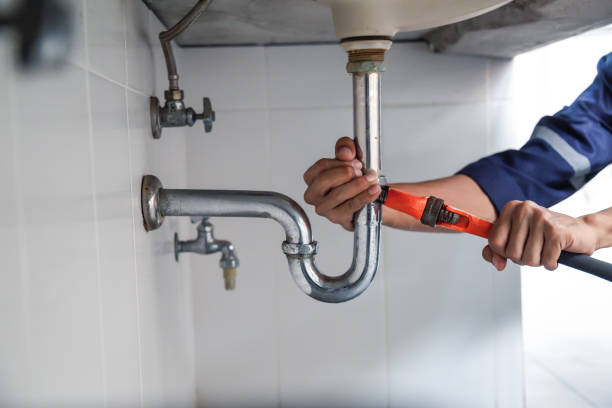 Best Same-Day Plumbing Service  in Lanse, MI