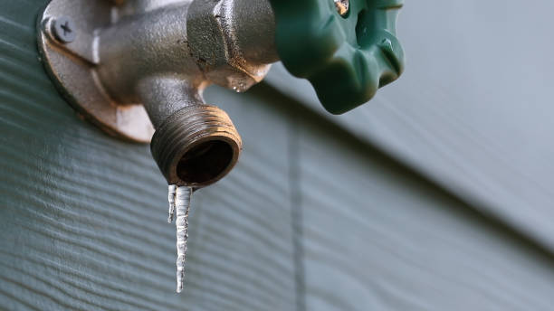 Best Leak Detection Services  in Lanse, MI