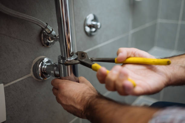 Best Shower Repair Services  in Lanse, MI