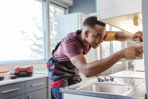 Best Emergency Plumber  in Lanse, MI