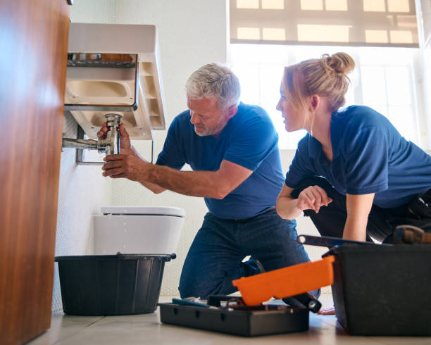 Best Drain Cleaning Services  in Lanse, MI